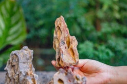 2-6" / 5-15cm Cutted Flat Bottom Natural Ohko Dragon Stone Rock For Terrarium, Aquarium Bonsai Landscape, 2kg/4.4lb, With DIY Tools -Ncyp Garden Sale Shop IMG 6740