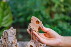 2-6" / 5-15cm Cutted Flat Bottom Natural Ohko Dragon Stone Rock For Terrarium, Aquarium Bonsai Landscape, 2kg/4.4lb, With DIY Tools -Ncyp Garden Sale Shop IMG 6741