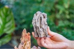 2-6" / 5-15cm Cutted Flat Bottom Natural Ohko Dragon Stone Rock For Terrarium, Aquarium Bonsai Landscape, 2kg/4.4lb, With DIY Tools -Ncyp Garden Sale Shop IMG 6745