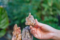 2-6" / 5-15cm Cutted Flat Bottom Natural Ohko Dragon Stone Rock For Terrarium, Aquarium Bonsai Landscape, 2kg/4.4lb, With DIY Tools -Ncyp Garden Sale Shop IMG 6746