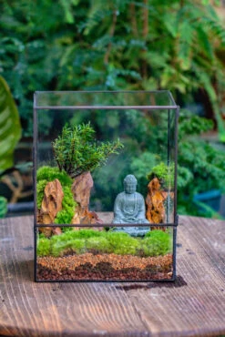 2-6" / 5-15cm Cutted Flat Bottom Natural Ohko Dragon Stone Rock For Terrarium, Aquarium Bonsai Landscape, 2kg/4.4lb, With DIY Tools -Ncyp Garden Sale Shop IMG 6814