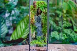 NCYP Close 11.8" Tall Geometric Glass Terrarium With Door Building DIY Set, With Buddha, Dragon Rocks, Planting Materials 26 NCYP Close 11.8" Tall Geometric Glass Terrarium With Door Building DIY Set, With Buddha, Dragon Rocks, Planting Materials -Ncyp Garden Sale Shop IMG 6904