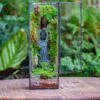 NCYP Close 11.8" Tall Geometric Glass Terrarium With Door Building DIY Set, With Buddha, Dragon Rocks, Planting Materials