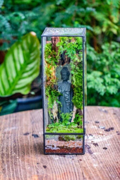 NCYP Close 11.8" Tall Geometric Glass Terrarium With Door Building DIY Set, With Buddha, Dragon Rocks, Planting Materials 31 NCYP Close 11.8" Tall Geometric Glass Terrarium With Door Building DIY Set, With Buddha, Dragon Rocks, Planting Materials -Ncyp Garden Sale Shop IMG 6909