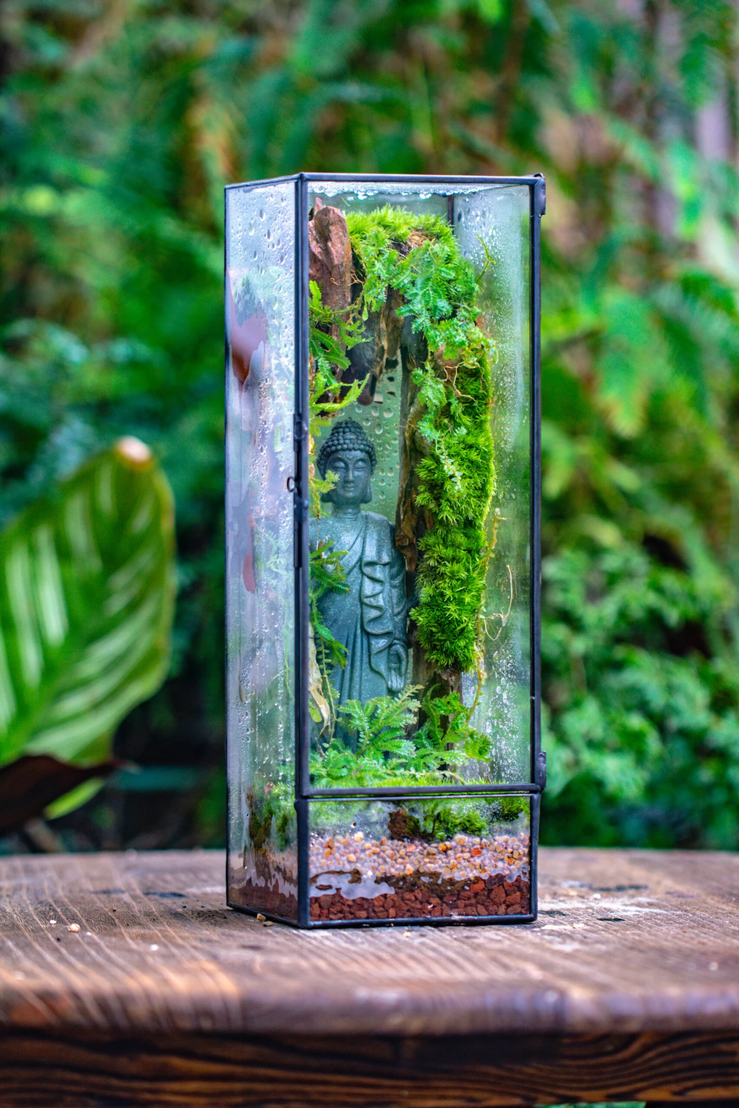 NCYP Close 11.8" Tall Geometric Glass Terrarium With Door Building DIY Set, With Buddha, Dragon Rocks, Planting Materials 10 NCYP Close 11.8" Tall Geometric Glass Terrarium With Door Building DIY Set, With Buddha, Dragon Rocks, Planting Materials - Image 10