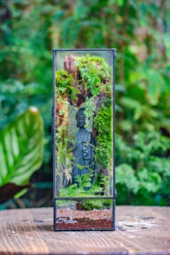 NCYP Close 11.8" Tall Geometric Glass Terrarium With Door Building DIY Set, With Buddha, Dragon Rocks, Planting Materials 25 NCYP Close 11.8" Tall Geometric Glass Terrarium With Door Building DIY Set, With Buddha, Dragon Rocks, Planting Materials -Ncyp Garden Sale Shop IMG 6911