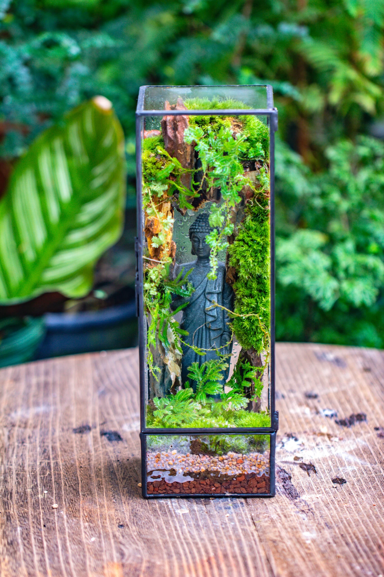 NCYP Close 11.8" Tall Geometric Glass Terrarium With Door Building DIY Set, With Buddha, Dragon Rocks, Planting Materials 8 NCYP Close 11.8" Tall Geometric Glass Terrarium With Door Building DIY Set, With Buddha, Dragon Rocks, Planting Materials - Image 8