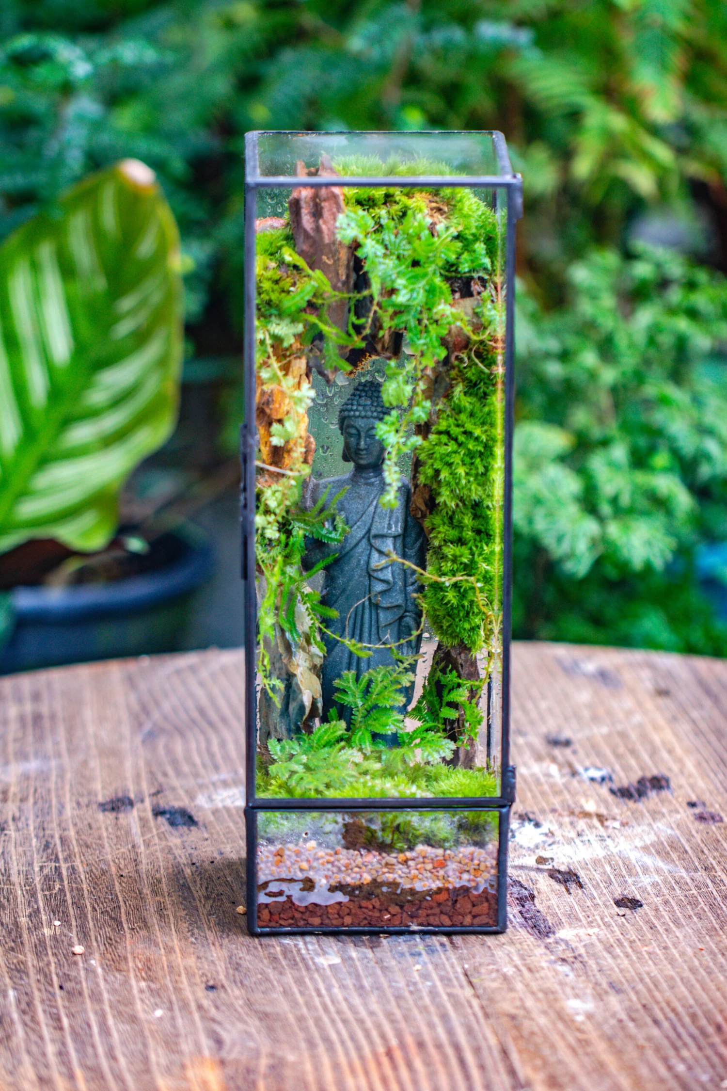 NCYP Close 11.8" Tall Geometric Glass Terrarium With Door Building DIY Set, With Buddha, Dragon Rocks, Planting Materials 9 NCYP Close 11.8" Tall Geometric Glass Terrarium With Door Building DIY Set, With Buddha, Dragon Rocks, Planting Materials - Image 9