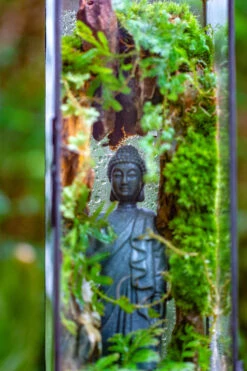 NCYP Close 11.8" Tall Geometric Glass Terrarium With Door Building DIY Set, With Buddha, Dragon Rocks, Planting Materials 32 NCYP Close 11.8" Tall Geometric Glass Terrarium With Door Building DIY Set, With Buddha, Dragon Rocks, Planting Materials -Ncyp Garden Sale Shop IMG 6915