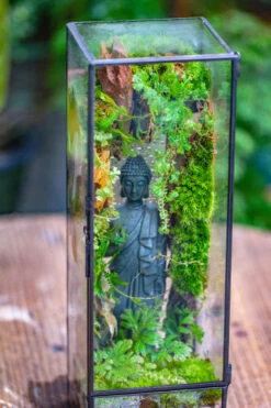 NCYP Close 11.8" Tall Geometric Glass Terrarium With Door Building DIY Set, With Buddha, Dragon Rocks, Planting Materials 22 NCYP Close 11.8" Tall Geometric Glass Terrarium With Door Building DIY Set, With Buddha, Dragon Rocks, Planting Materials -Ncyp Garden Sale Shop IMG 6916