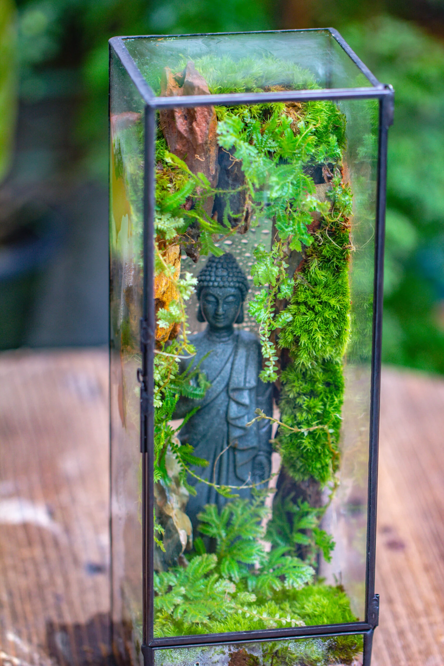 NCYP Close 11.8" Tall Geometric Glass Terrarium With Door Building DIY Set, With Buddha, Dragon Rocks, Planting Materials 3 NCYP Close 11.8" Tall Geometric Glass Terrarium With Door Building DIY Set, With Buddha, Dragon Rocks, Planting Materials - Image 3