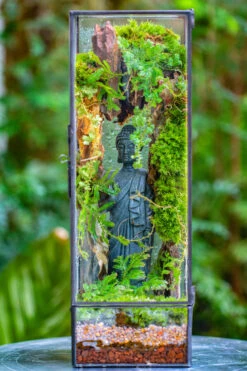 NCYP Close 11.8" Tall Geometric Glass Terrarium With Door Building DIY Set, With Buddha, Dragon Rocks, Planting Materials 33 NCYP Close 11.8" Tall Geometric Glass Terrarium With Door Building DIY Set, With Buddha, Dragon Rocks, Planting Materials -Ncyp Garden Sale Shop IMG 6919