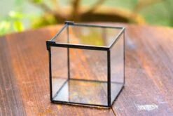 Handmade Cube Mini 4 Inches Close Geometric Glass Tin Terrarium, Greenhouse Planter For Moss, Christmas Gift, Terrarium Only -Ncyp Garden Sale Shop IMG 6948 e38bb8f6 6b66 49cf 9bbd 02178de46cfd 1