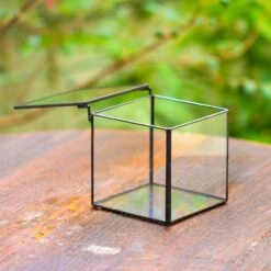 Cube Mini 4 Inches Moss Geometric Glass Terrarium DIY Set -Ncyp Garden Sale Shop IMG 6950 1 1