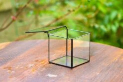 Handmade Cube Mini 4 Inches Close Geometric Glass Tin Terrarium, Greenhouse Planter For Moss, Christmas Gift, Terrarium Only -Ncyp Garden Sale Shop IMG 6950 64548560 4f18 4818 a627 1c8d7db43139 1