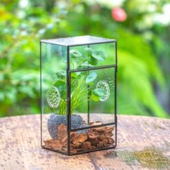 NCYP Rectangle Tin And Glass Geometric Terrarium, With Side Door, With Mesh / Vent Holes For Small Insects Pet -Ncyp Garden Sale Shop IMG 6962 2