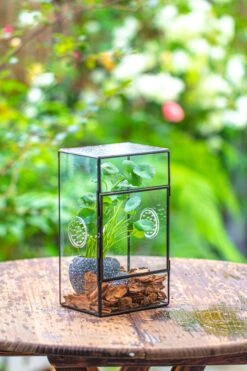 NCYP Rectangle Tin And Glass Geometric Terrarium, With Side Door, With Mesh / Vent Holes For Small Insects Pet -Ncyp Garden Sale Shop IMG 6962