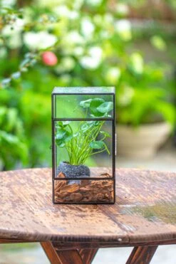 NCYP Rectangle Tin And Glass Geometric Terrarium, With Side Door, With Mesh / Vent Holes For Small Insects Pet -Ncyp Garden Sale Shop IMG 6963