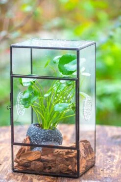 NCYP Rectangle Tin And Glass Geometric Terrarium, With Side Door, With Mesh / Vent Holes For Small Insects Pet -Ncyp Garden Sale Shop IMG 6966