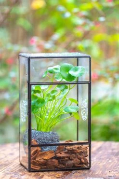 NCYP Rectangle Tin And Glass Geometric Terrarium, With Side Door, With Mesh / Vent Holes For Small Insects Pet -Ncyp Garden Sale Shop IMG 6968