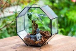 Handmade Octagon Glass Geometric Terrarium With Side Vent, Spider Terrarium, Jumping Spider/Snail Terrarium, Jumping Spider Enclosure -Ncyp Garden Sale Shop IMG 6983