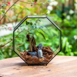 Handmade Octagon Glass Geometric Terrarium With Side Vent, Spider Terrarium, Jumping Spider/Snail Terrarium, Jumping Spider Enclosure -Ncyp Garden Sale Shop IMG 6989 2