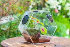 Handmade Extra Large Acrylic Hexagon Watertight Enclosure Terrarium With Mesh Vents, Feed Hole For Insects, Vivarium, Enclosure Only -Ncyp Garden Sale Shop IMG 7006 63d8c10d ffa4 4b8c 850c f29eedf8ee2e