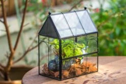 NCYP Vintage House Shape Glass Geometric Terrarium, With Side Door, With Mesh Vent Holes For Small Insects Pet -Ncyp Garden Sale Shop IMG 7008