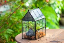 NCYP Vintage House Shape Glass Geometric Terrarium, With Side Door, With Mesh Vent Holes For Small Insects Pet -Ncyp Garden Sale Shop IMG 7009