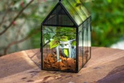NCYP Vintage House Shape Glass Geometric Terrarium, With Side Door, With Mesh Vent Holes For Small Insects Pet -Ncyp Garden Sale Shop IMG 7010