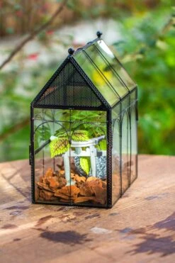 NCYP Vintage House Shape Glass Geometric Terrarium, With Side Door, With Mesh Vent Holes For Small Insects Pet -Ncyp Garden Sale Shop IMG 7011
