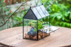 NCYP Vintage House Shape Glass Geometric Terrarium, With Side Door, With Mesh Vent Holes For Small Insects Pet -Ncyp Garden Sale Shop IMG 7019 2