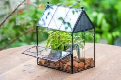 NCYP Vintage House Shape Glass Geometric Terrarium, With Side Door, With Mesh Vent Holes For Small Insects Pet -Ncyp Garden Sale Shop IMG 7020