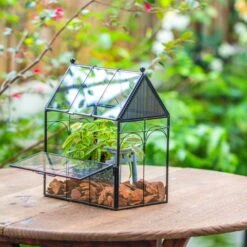 NCYP Vintage House Shape Glass Geometric Terrarium, With Side Door, With Mesh Vent Holes For Small Insects Pet -Ncyp Garden Sale Shop IMG 7022 2