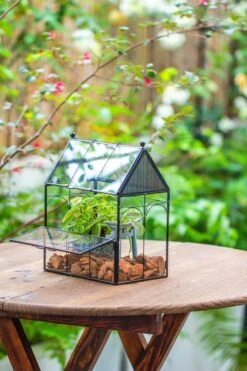 NCYP Vintage House Shape Glass Geometric Terrarium, With Side Door, With Mesh Vent Holes For Small Insects Pet -Ncyp Garden Sale Shop IMG 7022