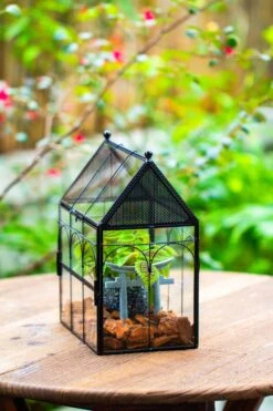 NCYP Vintage House Shape Glass Geometric Terrarium, With Side Door, With Mesh Vent Holes For Small Insects Pet -Ncyp Garden Sale Shop IMG 7023