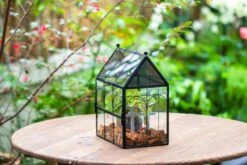 NCYP Vintage House Shape Glass Geometric Terrarium, With Side Door, With Mesh Vent Holes For Small Insects Pet -Ncyp Garden Sale Shop IMG 7024