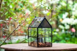 NCYP Vintage House Shape Glass Geometric Terrarium, With Side Door, With Mesh Vent Holes For Small Insects Pet -Ncyp Garden Sale Shop IMG 7026