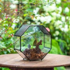 Handmade Octagon Glass Geometric Terrarium With Side Vent, Spider Terrarium, Jumping Spider/Snail Terrarium, Jumping Spider Enclosure -Ncyp Garden Sale Shop IMG 7033 b5dfde5b 0a18 4969 b931 7f111f59835c