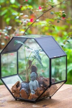 Handmade Octagon Glass Geometric Terrarium With Side Vent, Spider Terrarium, Jumping Spider/Snail Terrarium, Jumping Spider Enclosure -Ncyp Garden Sale Shop IMG 7040