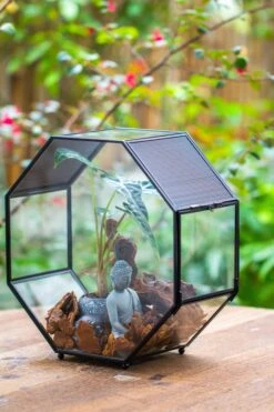 Handmade Octagon Glass Geometric Terrarium With Side Vent, Spider Terrarium, Jumping Spider/Snail Terrarium, Jumping Spider Enclosure -Ncyp Garden Sale Shop IMG 7041