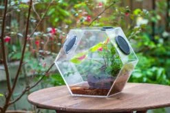 Handmade Extra Large Acrylic Hexagon Watertight Enclosure Terrarium With Mesh Vents, Feed Hole For Insects, Vivarium, Enclosure Only -Ncyp Garden Sale Shop IMG 7060