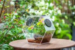 Handmade Extra Large Acrylic Hexagon Watertight Enclosure Terrarium With Mesh Vents, Feed Hole For Insects, Vivarium, Enclosure Only -Ncyp Garden Sale Shop IMG 7063