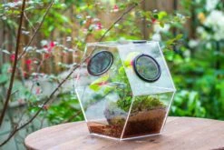 Handmade Extra Large Acrylic Hexagon Watertight Enclosure Terrarium With Mesh Vents, Feed Hole For Insects, Vivarium, Enclosure Only -Ncyp Garden Sale Shop IMG 7064