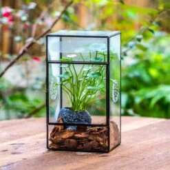 NCYP Rectangle Tin And Glass Geometric Terrarium, With Side Door, With Mesh / Vent Holes For Small Insects Pet -Ncyp Garden Sale Shop IMG 7097 2