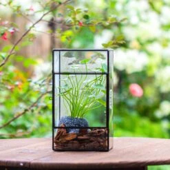 NCYP Rectangle Tin And Glass Geometric Terrarium, With Side Door, With Mesh / Vent Holes For Small Insects Pet -Ncyp Garden Sale Shop IMG 7099 2