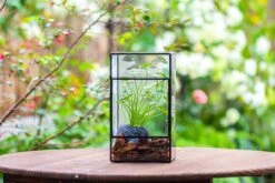 NCYP Rectangle Tin And Glass Geometric Terrarium, With Side Door, With Mesh / Vent Holes For Small Insects Pet -Ncyp Garden Sale Shop IMG 7099