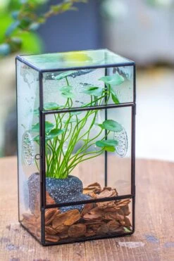 NCYP Rectangle Tin And Glass Geometric Terrarium, With Side Door, With Mesh / Vent Holes For Small Insects Pet -Ncyp Garden Sale Shop IMG 7102