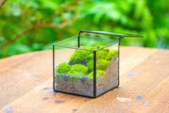 Handmade Cube Mini 4 Inches Close Geometric Glass Tin Terrarium, Greenhouse Planter For Moss, Christmas Gift, Terrarium Only -Ncyp Garden Sale Shop IMG 7117 1