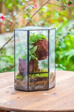 Small Version Handmade Glass Terrarium With Door For Plant, Moss Wall, Closed Geometric Tin Pentagon Planter -Ncyp Garden Sale Shop IMG 7122 2